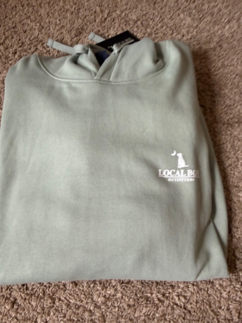 Local Boy Outfitters Men's hoodie Sweatshirt in Sage Green